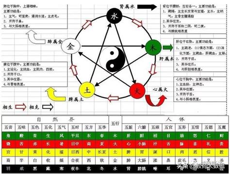 天的五行|天的五行属什么